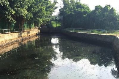 中国&middot;东盟大气污染防治高层研讨班学员走进深港环保